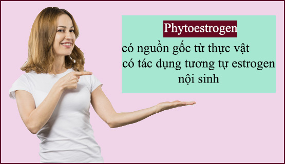 Phytoestrogen tác động đến Hormone