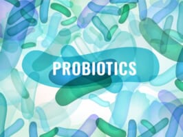 thực phẩm chức năng chứa Probiotic