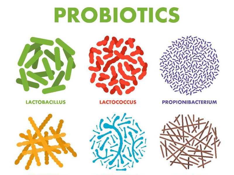 thực phẩm chức năng chứa Probiotic
