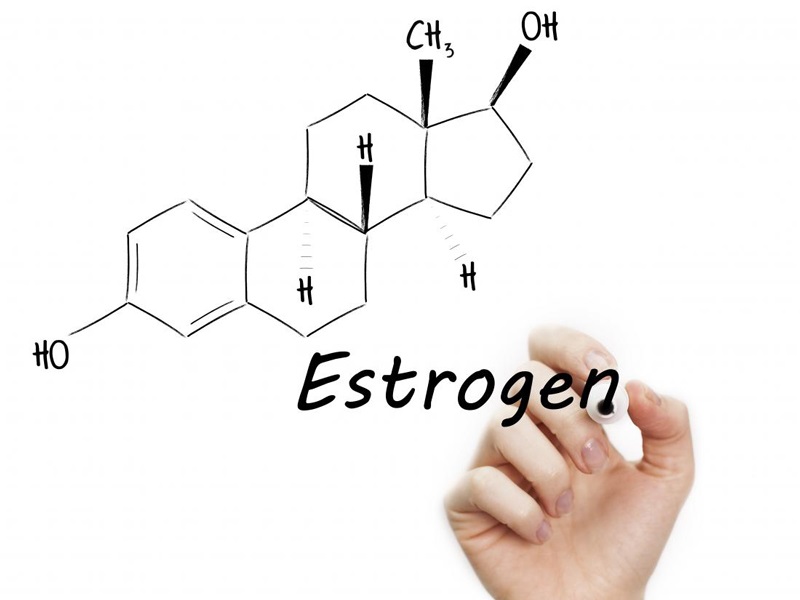 estrogen